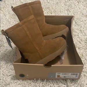 Waterproof Size 5 Chestnut Classic Short Uggs